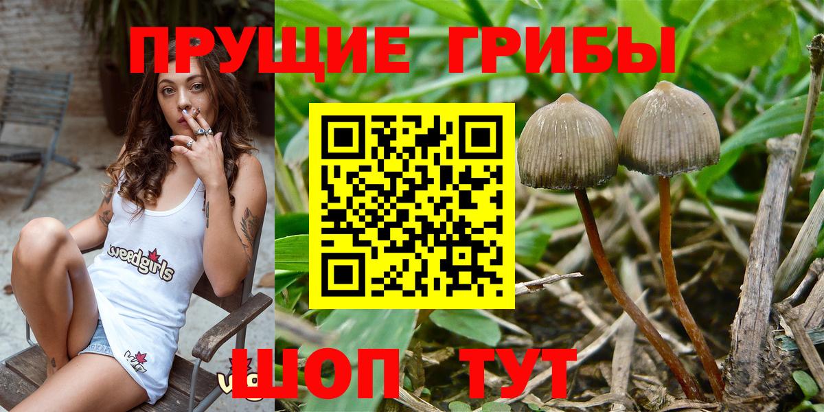 Нефтеюганск  Галлюциногенные грибы MAGIC MUSHROOMS  Псилоцибиновые грибы мухоморы  Вход с VPN 